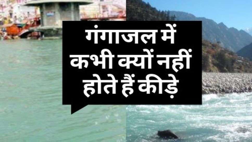 Ganga : जानिए, गंगाजल में कभी क्यों नहीं होते हैं कीड़े, क्या है इसकी वजह