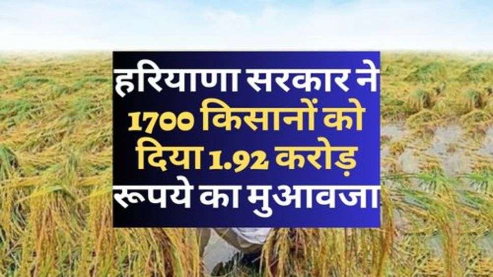 Haryana News : हरियाणा सरकार ने 1700 किसानों को दिया 1.92 करोड़ रूपये का मुआवजा, क्या आपके पास भी आए पैसे?