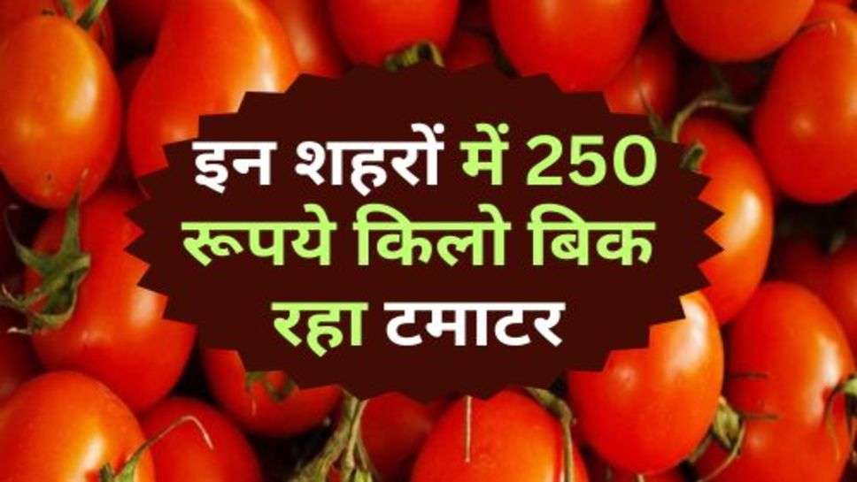 Tomato Price : इन शहरों में 250 रूपये किलो बिक रहा टमाटर, कहीं आपका शहर तो नहीं