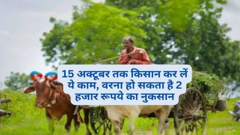 Kisan News : 15 अक्टूबर तक किसान कर लें ये काम, वरना हो सकता है 2 हजार रूपये का नुकसान