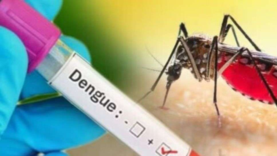 Dengue : भारत वासियों के लिए बुरी खबर, सरकार ने किया अलर्ट जारी