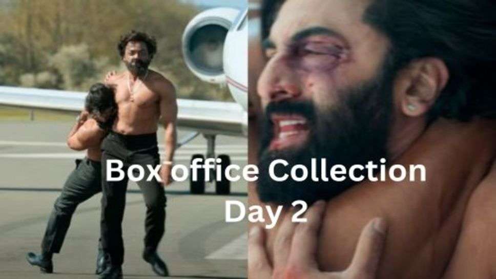 Animal Box office Collection Day 2: 2 दिन में ही एनिमल ने मचाया धमाल कमाई 100 के पार
