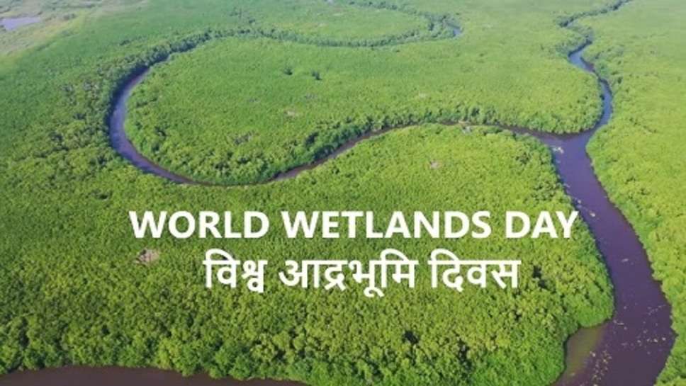 World Wetland Day 2023 : जानिए वर्ल्ड वेटलैंड डे का इतिहास और महत्व?