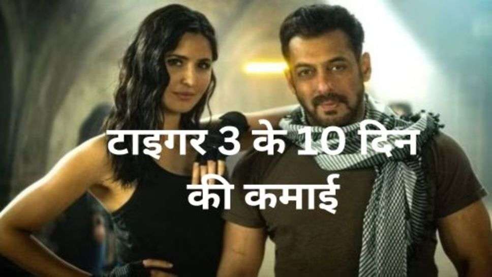 Tiger 3 Day 10 Collection: टाइगर 3 की कमाई को लगी नजर 10 दिन छापे बस इतने ही नोट