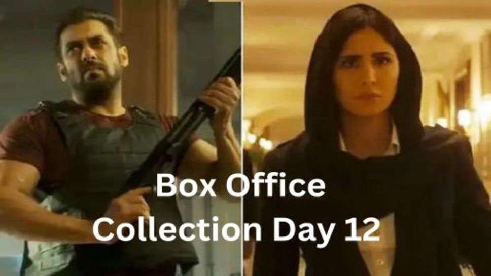 Tiger 3 Box Office Collection Day 12: टाइगर 3 की कमाई ने 12 वें दिन फिर किया निराश