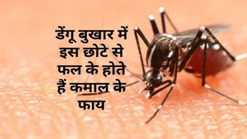 Dengue Fever : डेंगू बुखार में इस छोटे से फल के होते हैं कमाल के फायदे