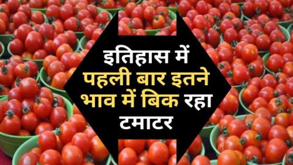 Today Tomato Price : इतिहास में पहली बार इतने भाव में बिक रहा टमाटर