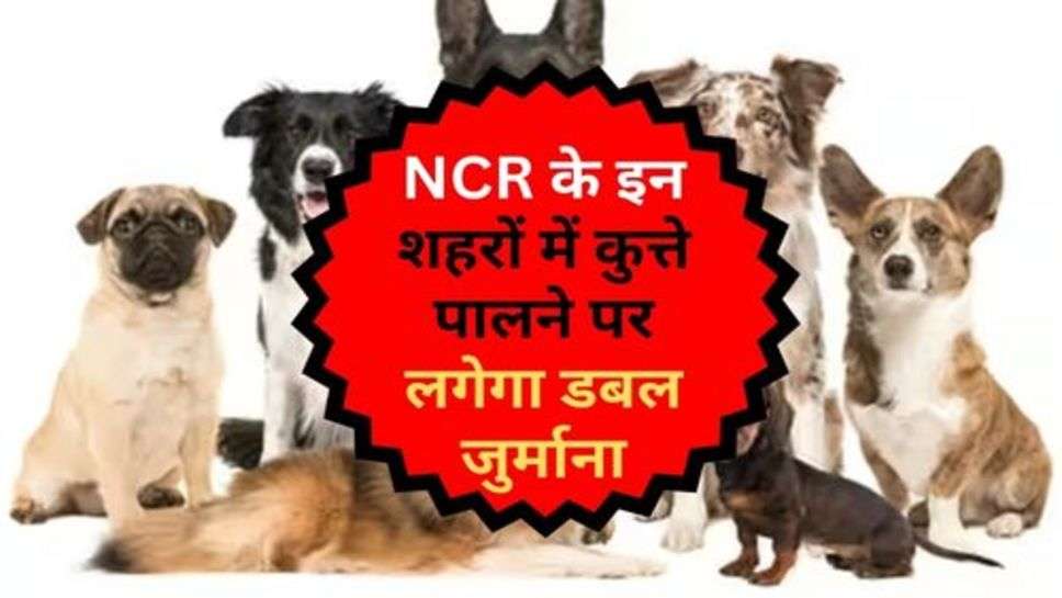 NCR के इन शहरों में कुत्ते पालने पर लगेगा डबल जुर्माना