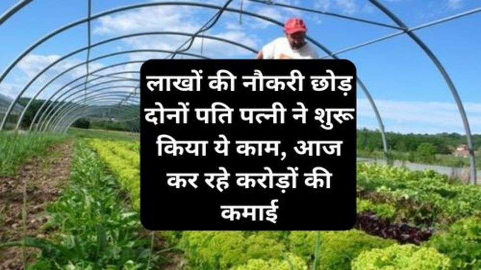 Success Story: लाखों की नौकरी छोड़ दोनों पति पत्नी ने शुरू किया ये काम, आज कर रहे करोड़ों की कमाई