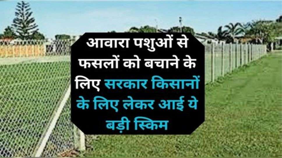 Government Scheme: आवारा पशुओं से फसलों को बचाने के लिए सरकार किसानों के लिए लेकर आई ये बड़ी स्किम