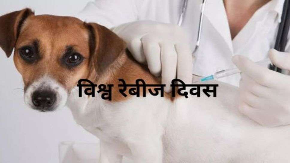 World Rabies Day : विश्व रेबीज दिवस पर लगेंगे निशुल्क रेबीज वैक्सीन कैंप