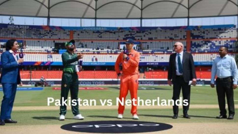 Pakistan vs Netherlands Live: नीदरलैंड के खिलाफ पाकिस्तान की हालत पतली, फैल रहा टाप आर्डर