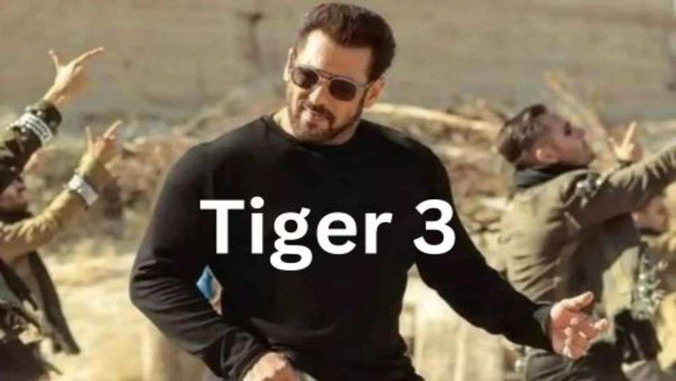 Tiger 3 Box office Collection Day 3: टाइगर 3 ने 2 दिन में किया 100 पार तो तीसरे दिन दिखी भारी गिरावट