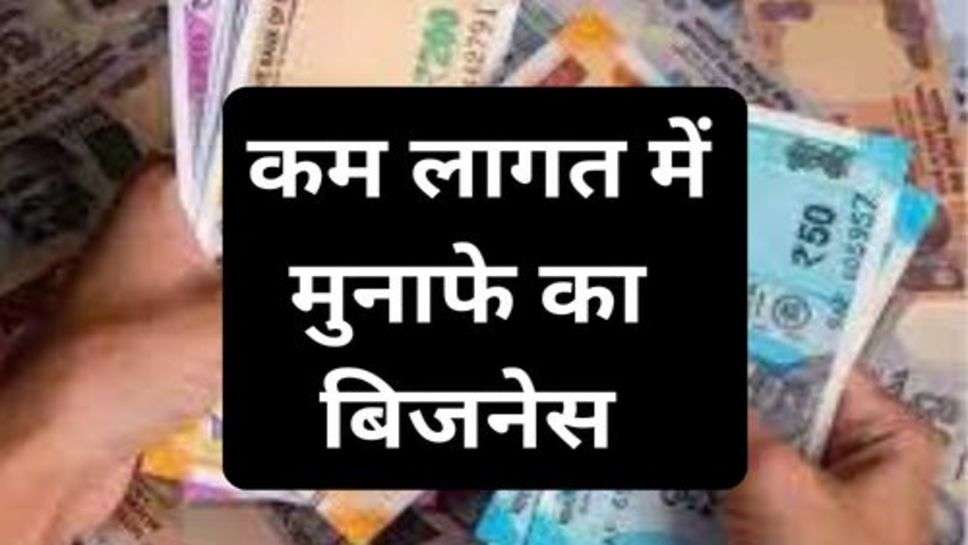 Business Idea: कम लागत में मुनाफे का बिजनेस