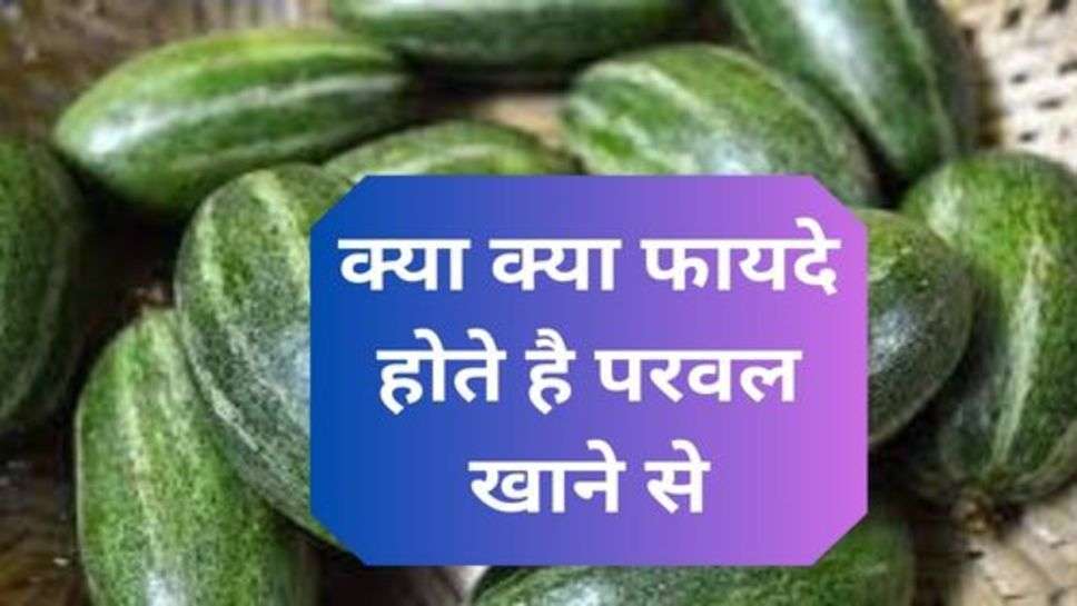 Health Tips : क्या क्या फायदे होते है परवल खाने से