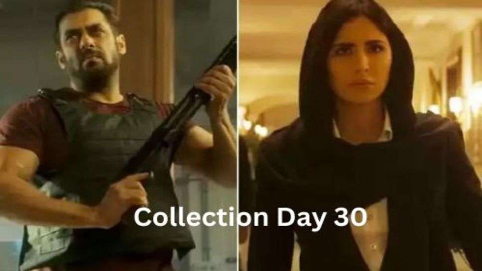 Tiger 3 Box office Collection Day 30: टाइगर 3 ने 30 वें दिन दिखाया कमाई में जंप, यहां पहुंचा कुल कलेक्शन