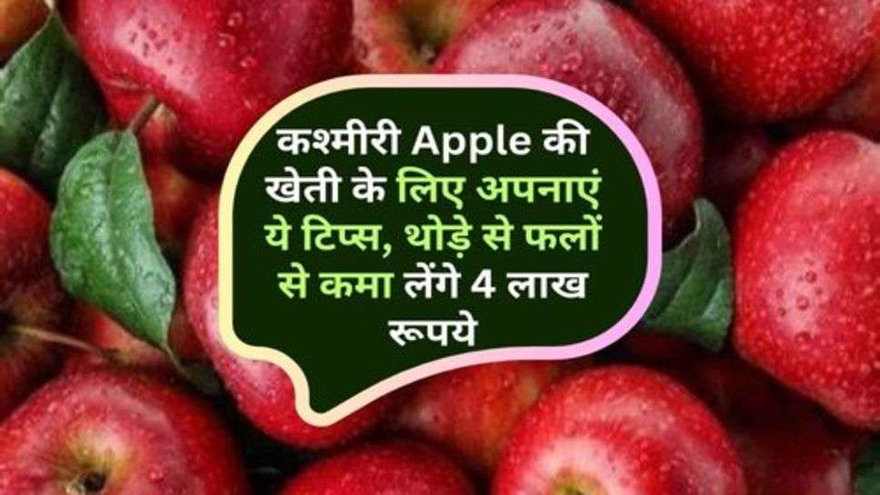 Kashmiri Apple : कश्मीरी Apple की खेती के लिए अपनाएं ये टिप्स, थोड़े से फलों से कमा लेंगे 4 लाख रूपये