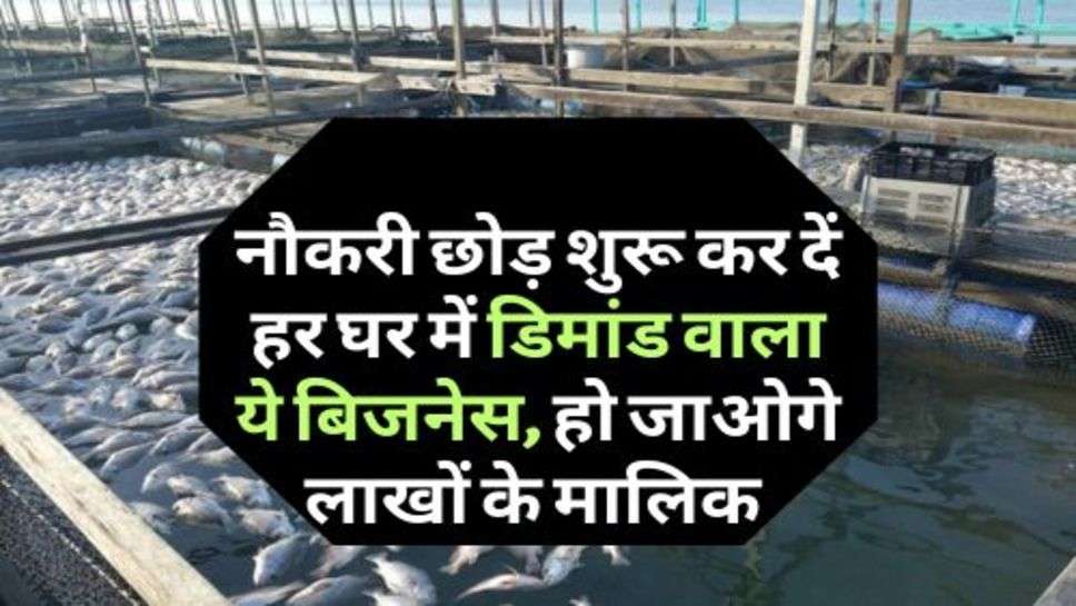 Business Idea : नौकरी छोड़ शुरू कर दें हर घर में डिमांड वाला ये बिजनेस, हो जाओगे लाखों के मालिक