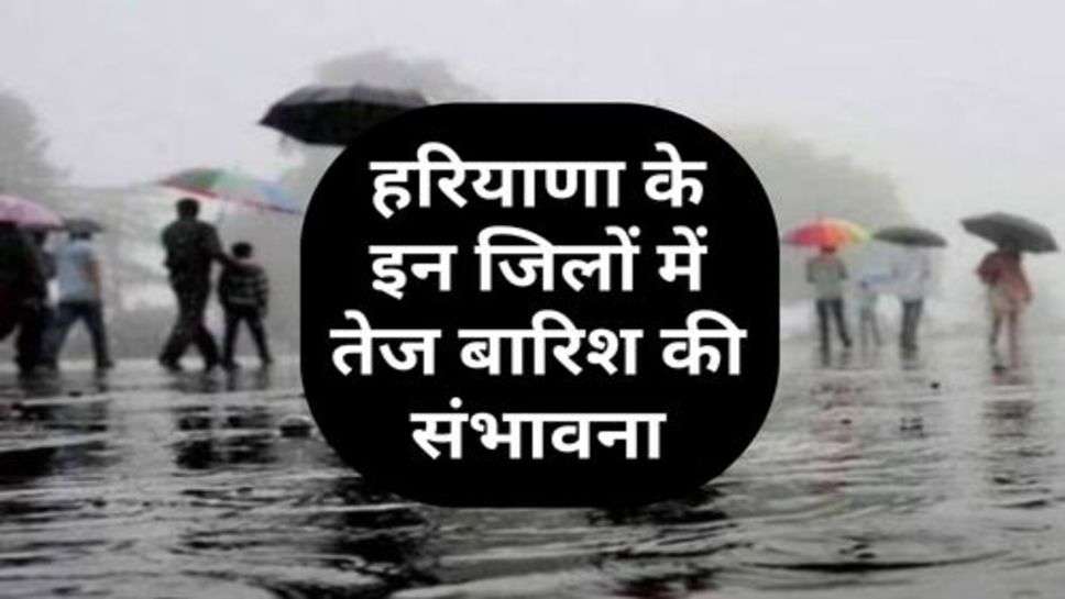 Today weather In Haryana : हरियाणा के इन जिलों में तेज बारिश की संभावना, चेक करें मौसम विभाग की ताजा अपडेट