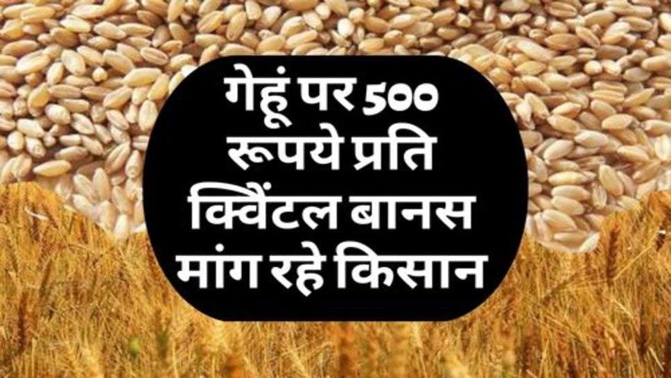 Kisan News : गेहूं पर 500 रूपये प्रति क्विेंटल बानस मांग रहे किसान