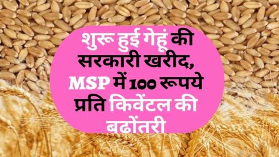 Kisan News : शुरू हुई गेहूं की सरकारी खरीद, MSP में 100 रूपये प्रति किवेंटल की बढोंतरी