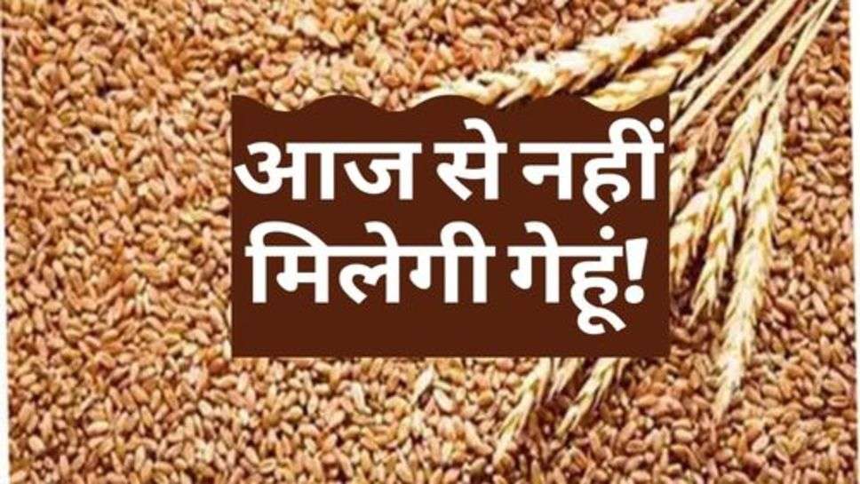 Free Ration Yojana : राशन कार्ड धारकों के लिए बड़ी खबर, आज से नहीं मिलेगी गेहूं!