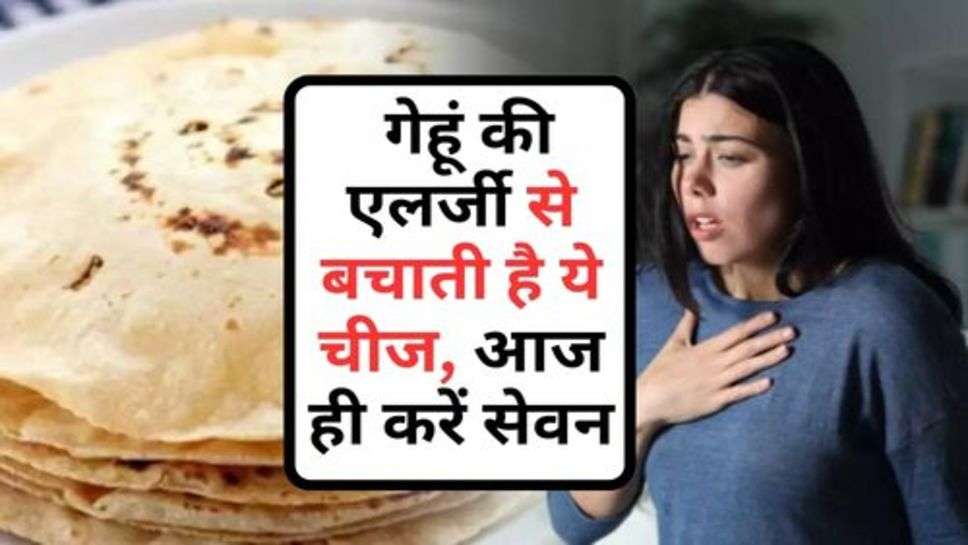 Wheat Allergy : गेहूं की एलर्जी से बचाती है ये चीज, आज ही करें सेवन