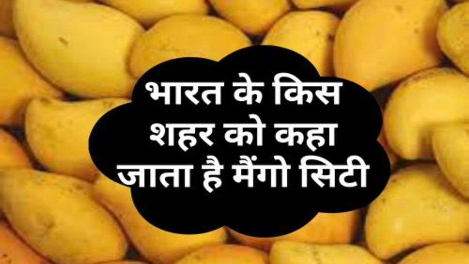 Mango Citi : भारत के किस शहर को कहा जाता है मैंगो सिटी 