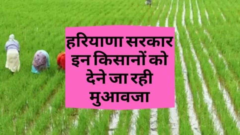 Kisan News :  हरियाणा सरकार इन किसानों को देने जा रही मुआवजा