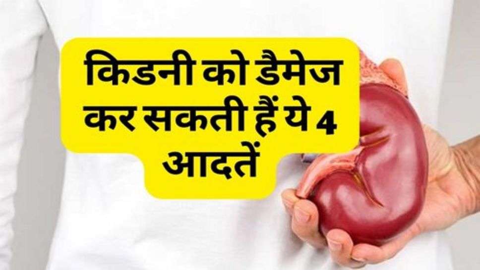 Health Tips : किडनी को डैमेज कर सकती हैं ये 4 आदतें, जानें क्यों?