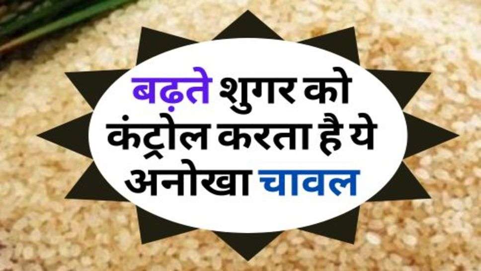 Sugar : बढ़ते शुगर को कंट्रोल करता है ये अनोखा चावल, आज से ही करें सेवन