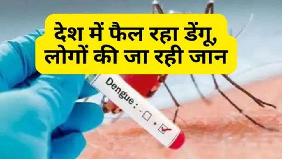 Dengue : देश में फैल रहा डेंगू, लोगों की जा रही जान