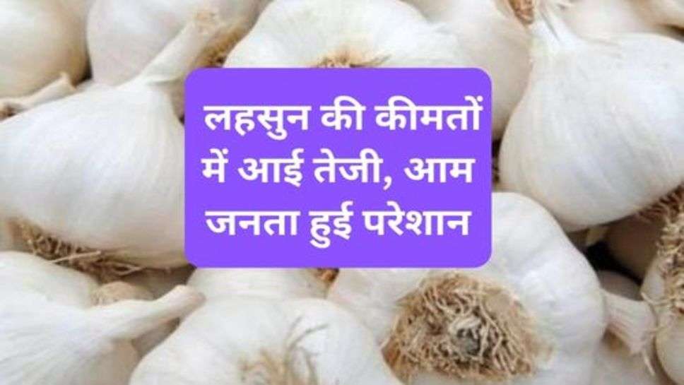 Garlic price :  लहसुन की कीमतों में आई तेजी, आम जनता हुई परेशान