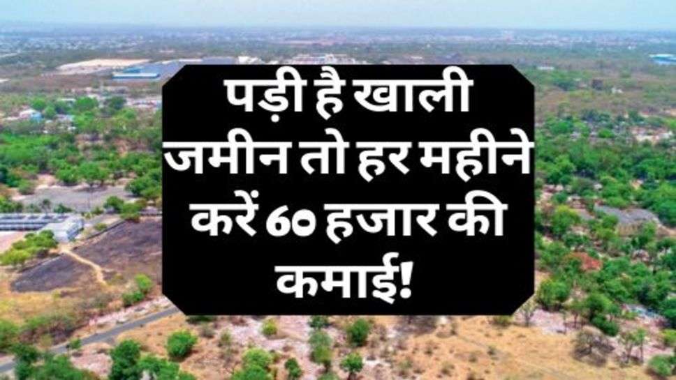 Home Business Idea : पड़ी है खाली जमीन तो हर महीने करें 60 हजार की कमाई! जानें कौन सा है बिजनेस आइडिया