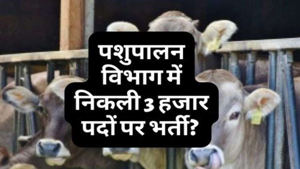 Animal Husbandry Department Recruitment 2023 : पशुपालन विभाग में निकली 3 हजार पदों पर भर्ती? आवेदन की लास्ट डेट है ये