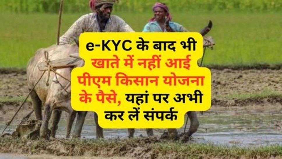 e-KYC के बाद भी खाते में नहीं आई पीएम किसान योजना के पैसे, यहां पर अभी कर लें संपर्क