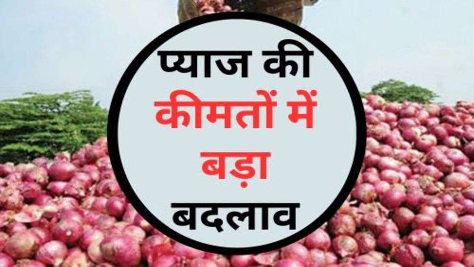 Onion Price Today : प्याज की कीमतों में बड़ा बदलाव, जानें महंगा हुआ या सस्ता?