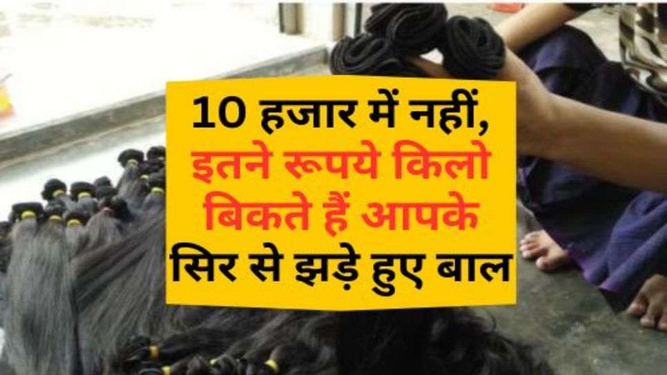 Home Business Idea : 10 हजार में नहीं, इतने रूपये किलो बिकते हैं आपके सिर से झड़े हुए बाल