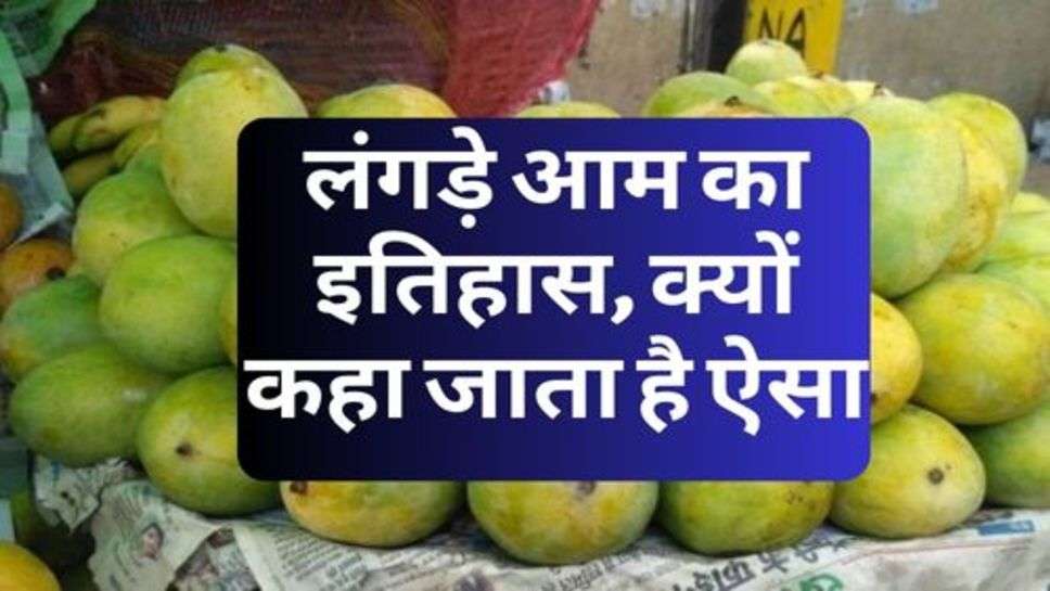 History Of Lame Mango :  जानिए, लंगड़े आम का इतिहास, क्यों कहा जाता है ऐसा