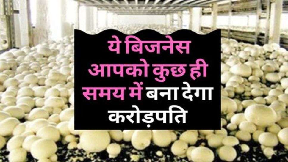 Business News : ये बिजनेस आपको कुछ ही समय में बना देगा करोड़पति, जाने कैसे