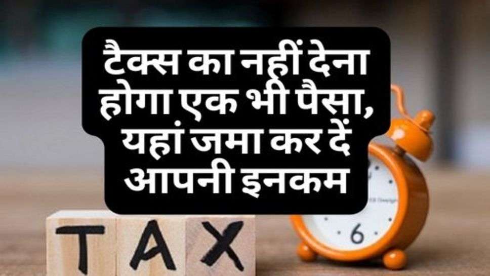 Income Tax : टैक्स का नहीं देना होगा एक भी पैसा, यहां जमा कर दें आपनी इनकम