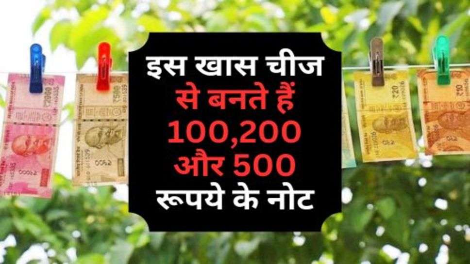 Indian Note : इस खास चीज से बनते हैं 100,200 और 500 रूपये के नोट, क्या कागज का नहीं होता इस्तेमाल