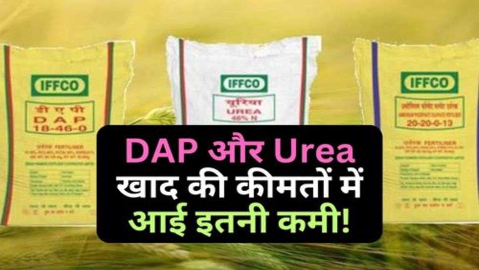 किसानों को बड़ी सौगात, DAP और Urea खाद की कीमतों में आई इतनी कमी!