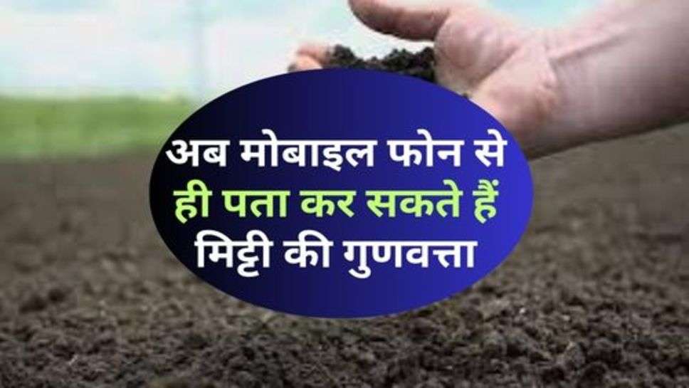 Soil Quality : अब मोबाइल फोन से ही पता कर सकते हैं मिट्टी की गुणवत्ता, आज भी करें ट्राई