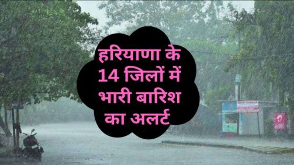  Haryana Weather: हरियाणा के 14 जिलों में भारी बारिश का अलर्ट ,चेक करें मौसम की ताजा अपडेट