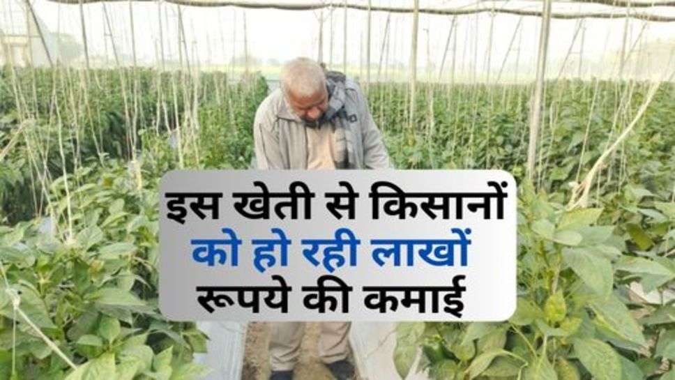 Farming Tips : इस खेती से किसानों को हो रही लाखों रूपये की कमाई, अभी जानें उगाने की पूरी प्रोसेस