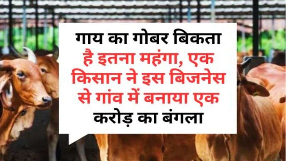 Business News: गाय का गोबर बिकता है इतना महंगा, एक किसान ने इस बिजनेस से गांव में बनाया एक करोड़ का बंगला