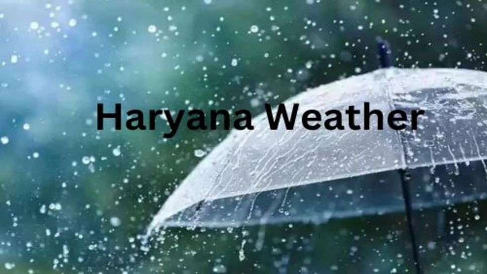 Haryana Weather: अगले 2 दिन हरियाणा में ज्यादा रहेगा ठंड का प्रभाव, हल्की बारिश की संभावना