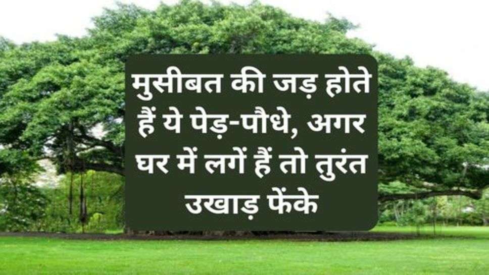 Vaastu Shaastra: मुसीबत की जड़ होते हैं ये पेड़-पौधे, अगर घर में लगें हैं तो तुरंत उखाड़ फेंके