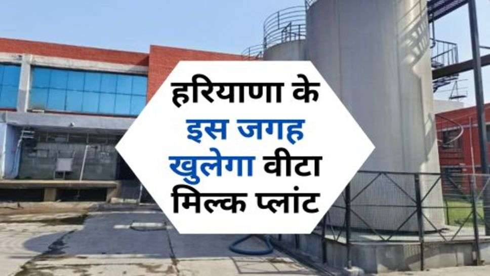 Vita Milk Plant : हरियाणा के इस जगह खुलेगा वीटा मिल्क प्लांट, जानें कब होगा शुरू